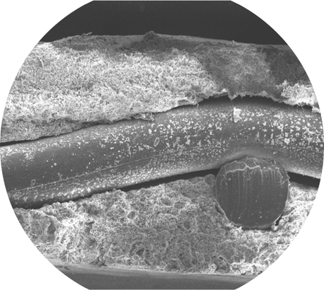 复合隔膜ZSM电镜扫描图-氧化锆改性结构